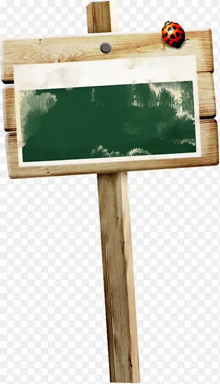 手绘绿色黑板木板瓢虫设计