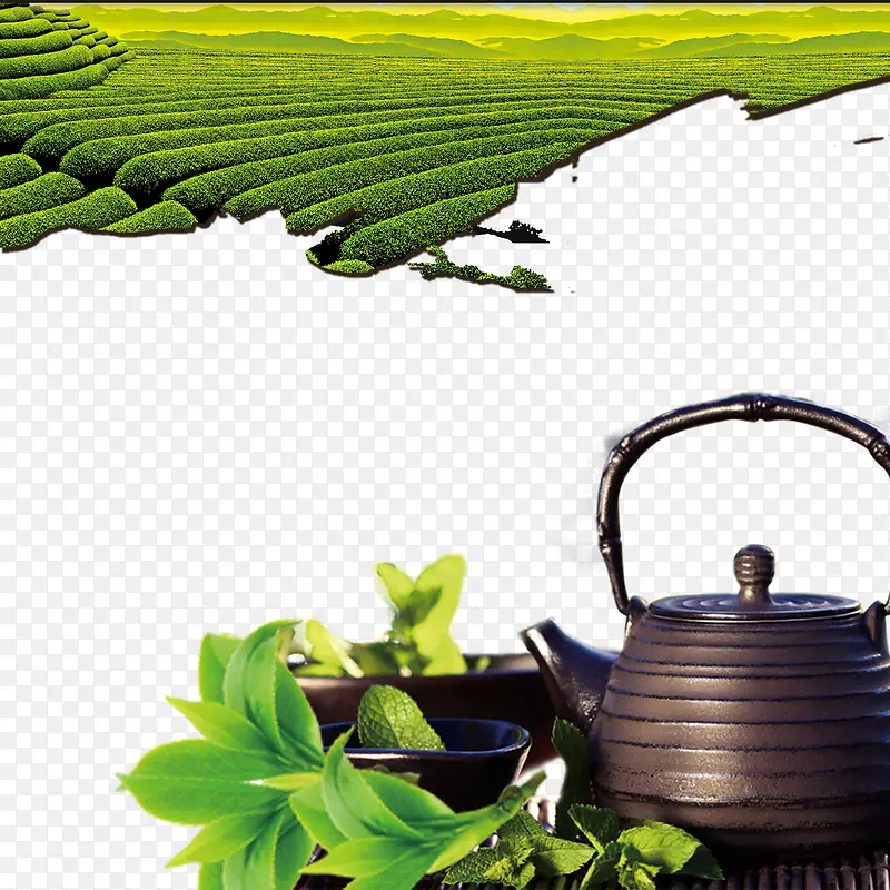中国风茶园茶壶茶叶元素