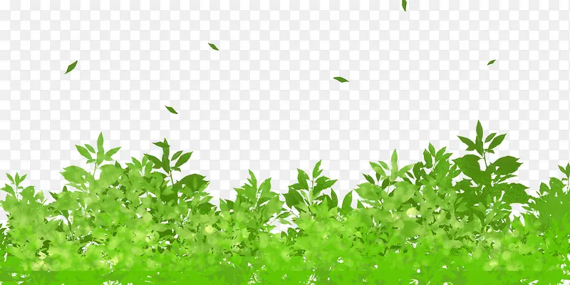 春天插画手绘水彩绿树植物装饰插