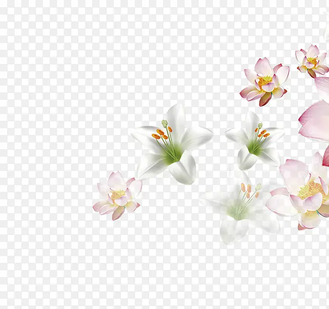 花朵元素PNG图片素材下载_图片编号ynvnnpwg-免抠素材网