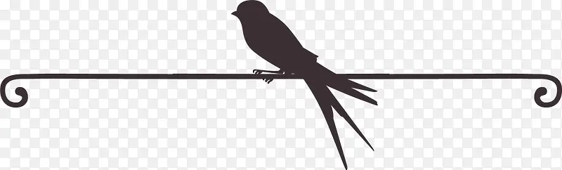 黑色剪影站在铁丝上的动物小鸟