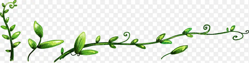创意卡通扁平植物藤蔓设计水彩