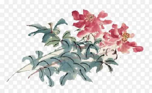 水墨芍药