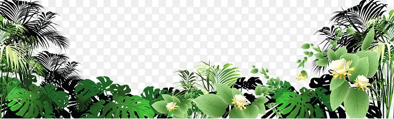 绿色植物PNG图片素材下载_图片编号yglooddn-免抠素材网