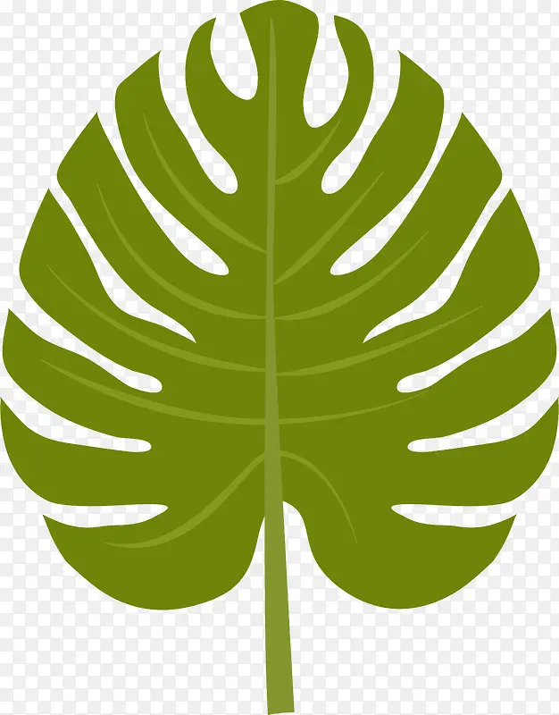 卡通绿色植物棕榈叶图