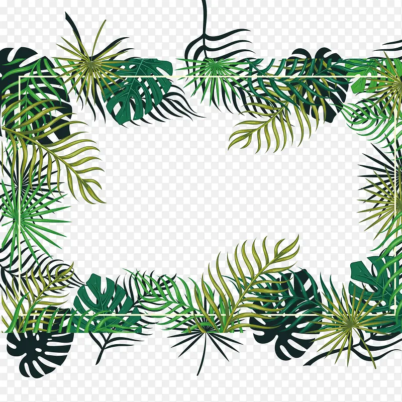绿色植物边框纹理热带植物矢量