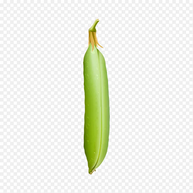 蔬菜 厨房食材