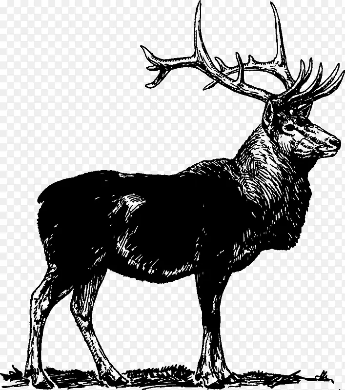黑色麋鹿矢量动物素材手绘