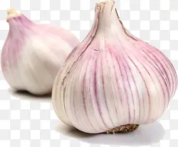 免抠透明紫皮大蒜