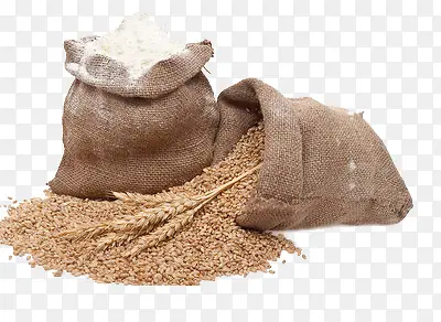 装着面粉和小麦的两布袋