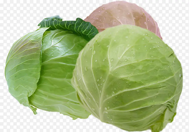 绿色食品卷心菜
