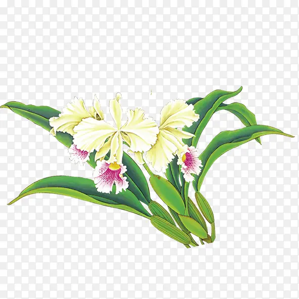 花瓣专辑