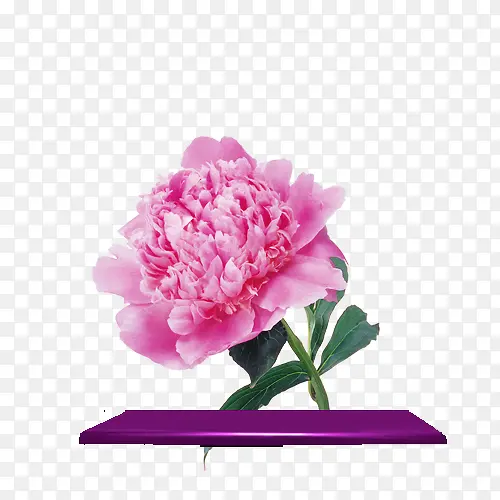 装饰花朵
