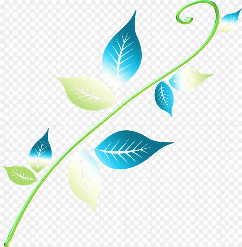 手绘蓝色花枝