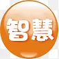 智慧 圆形 橙色 方案字