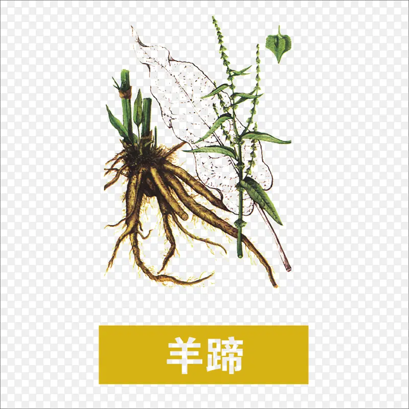 草药