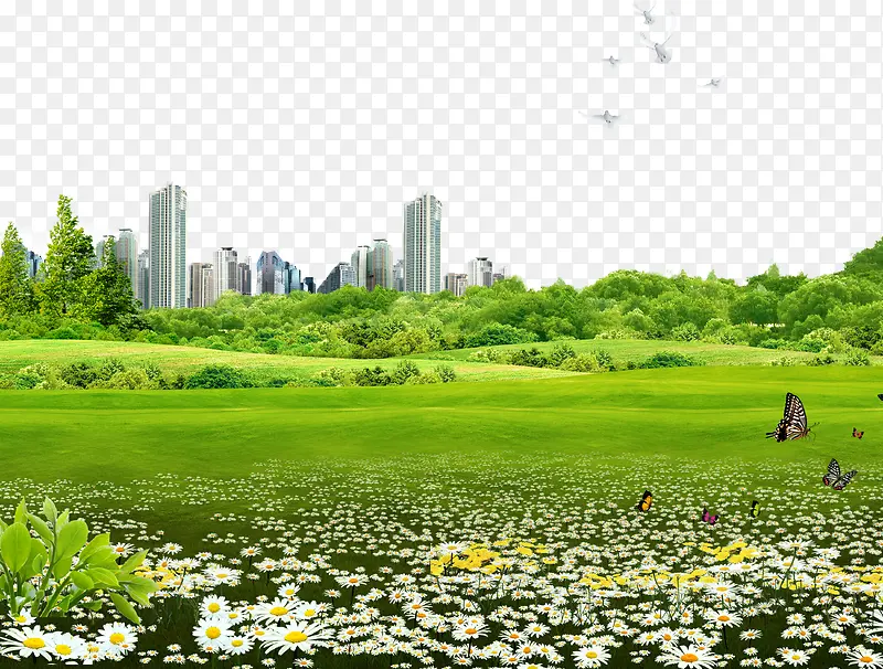 城市绿色草地