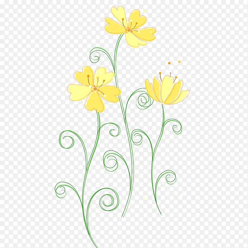 黄花线条