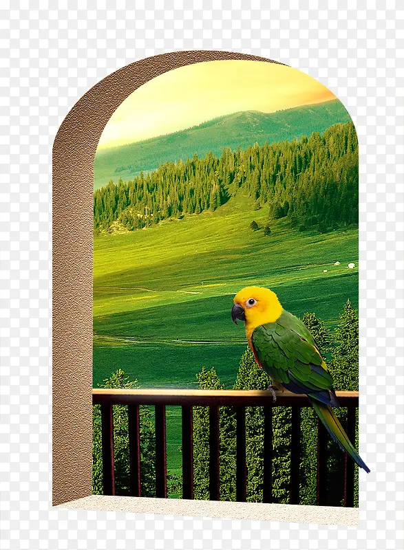 地产广告元素窗台上的鹦鹉