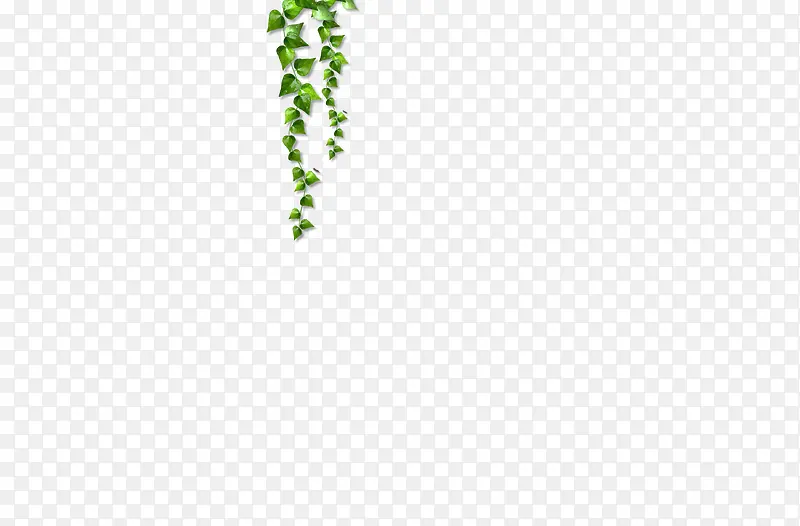藤蔓，垂吊绿色植物，庭院
