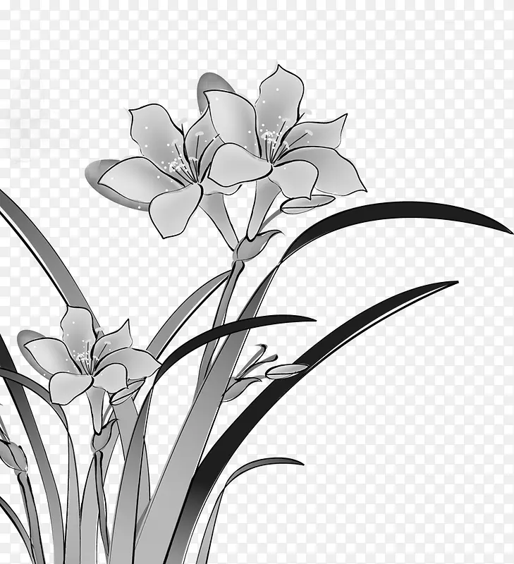 黑白色野花
