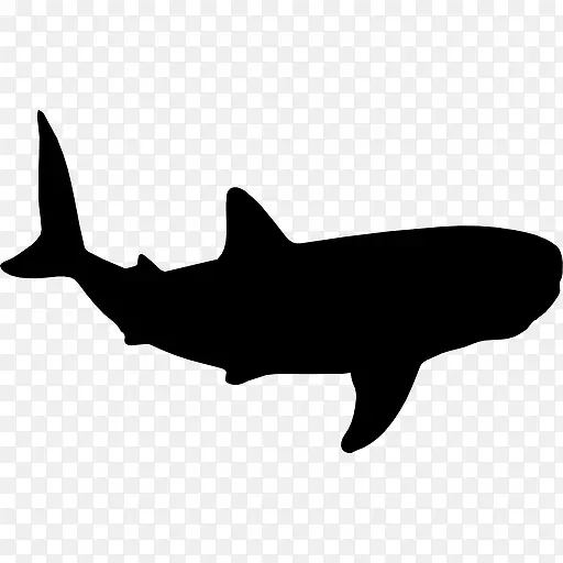 鲸鲨的形状图标