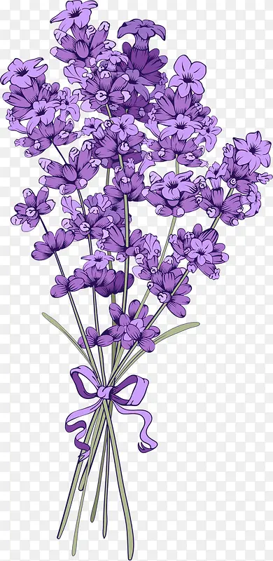 紫色花束