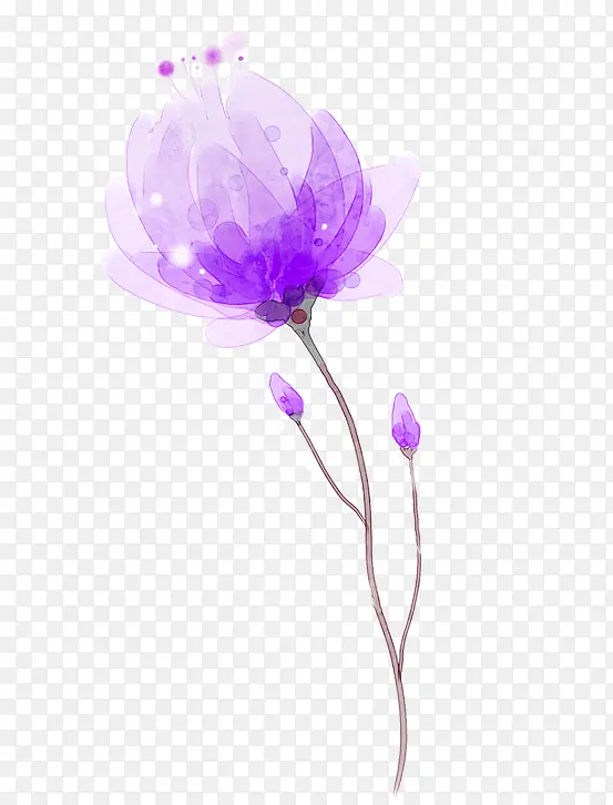 免抠紫色鲜花手绘素材