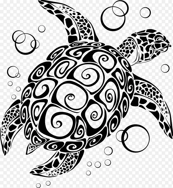 矢量海龟