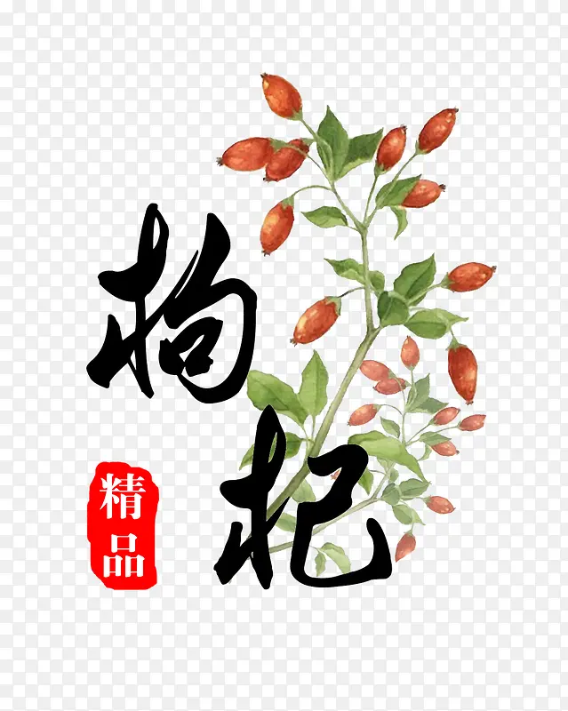 枸杞小清新艺术字免费图片PNG图片素材下载_图片编号yxjpxkgp-免抠素材网