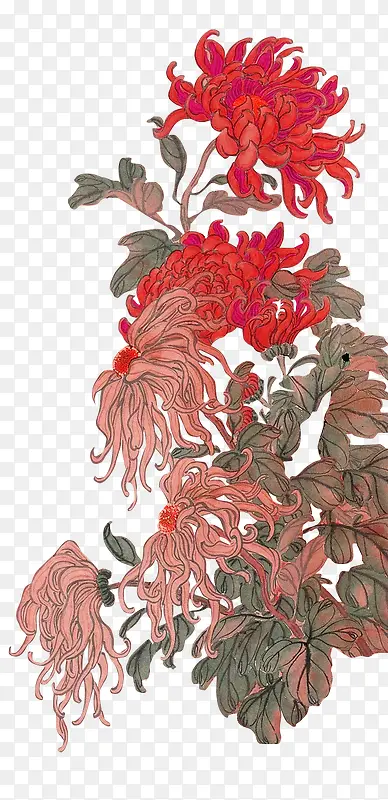 红色菊花工笔画装饰图案