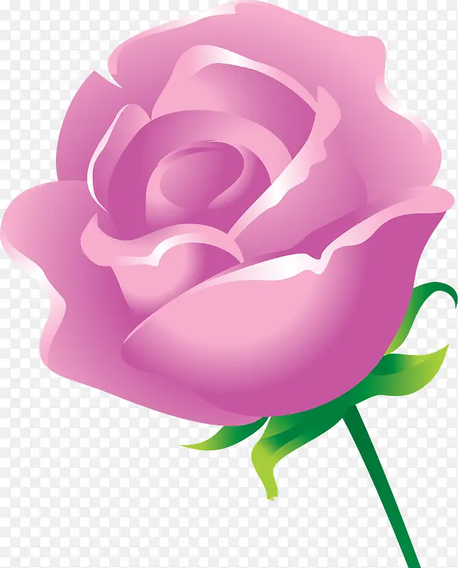 紫色玫瑰三联画图片