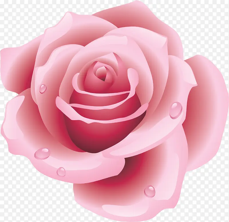 粉色玫瑰三联画展板