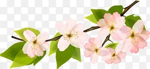 桃花春季最美四月天图片