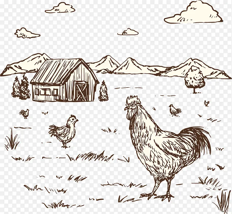 手绘农家养鸡场