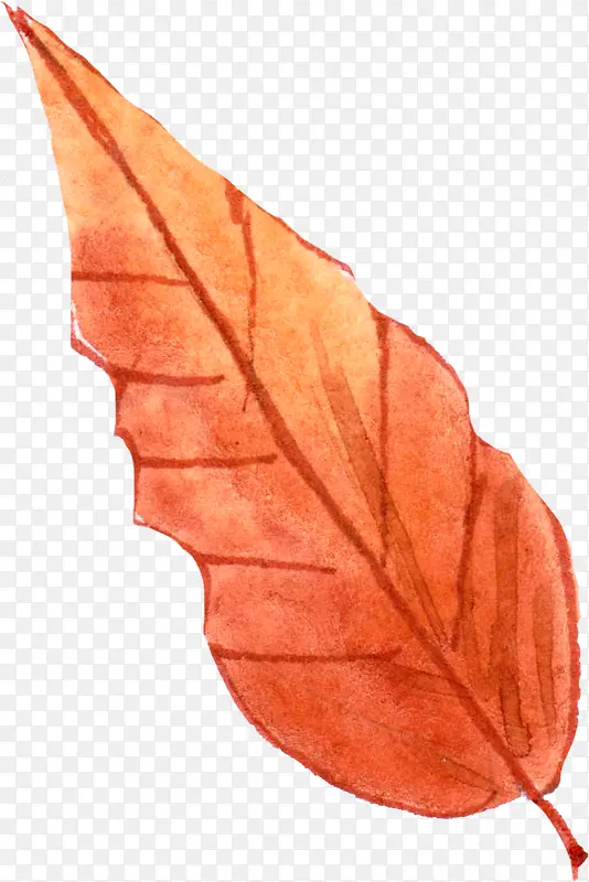 红色手绘叶子