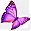 蝴蝶 紫色蝴蝶 飞舞中的蝴蝶