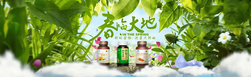 绿色食品banner