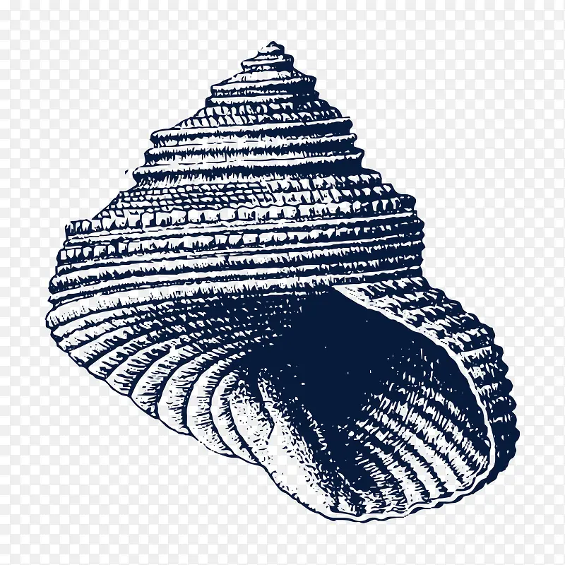 手绘海螺田螺贝壳