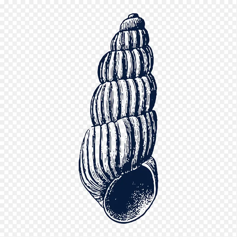 手绘黑色海洋生物海螺贝壳装饰