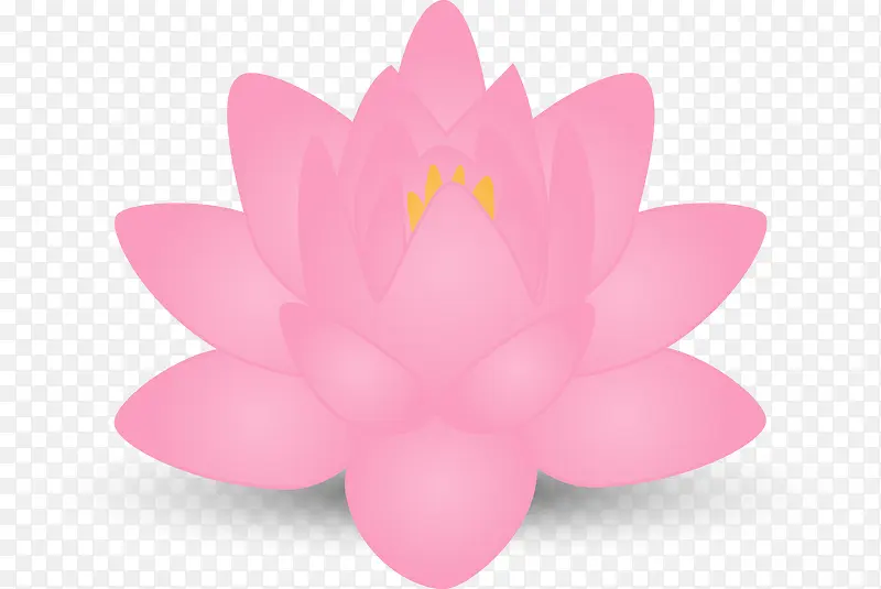 精美spa元素