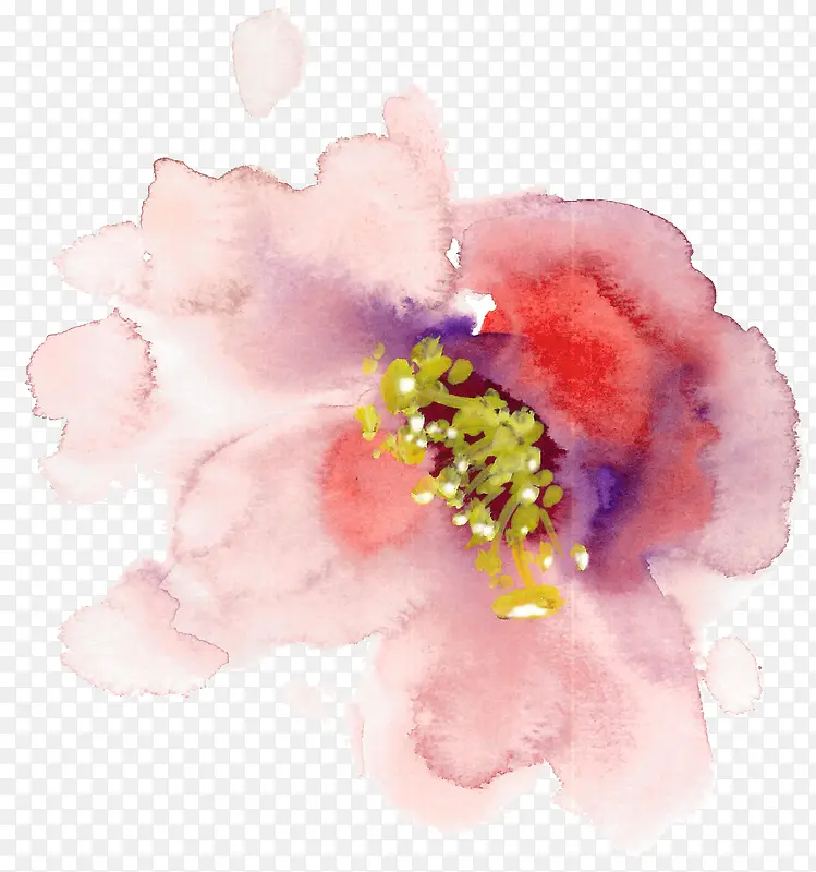 水粉彩绘花朵花纹