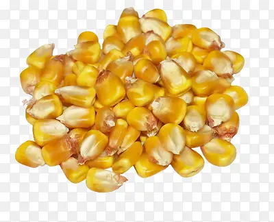 金色玉米颗粒