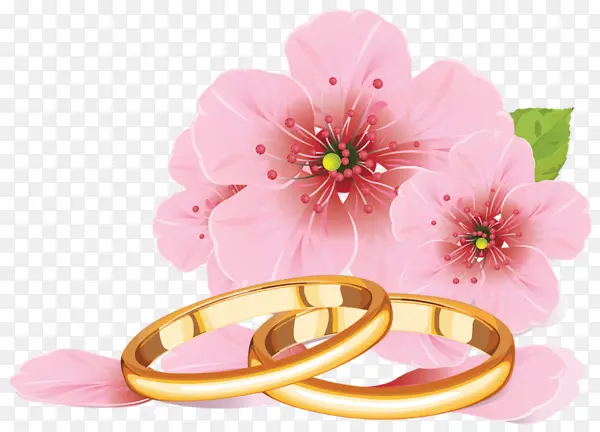 粉色花朵和金色戒指