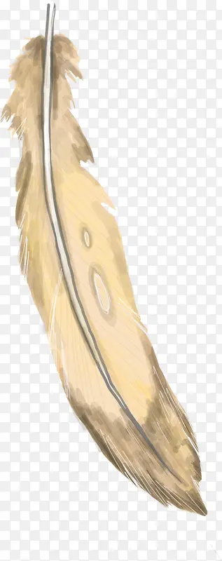 彩绘羽毛