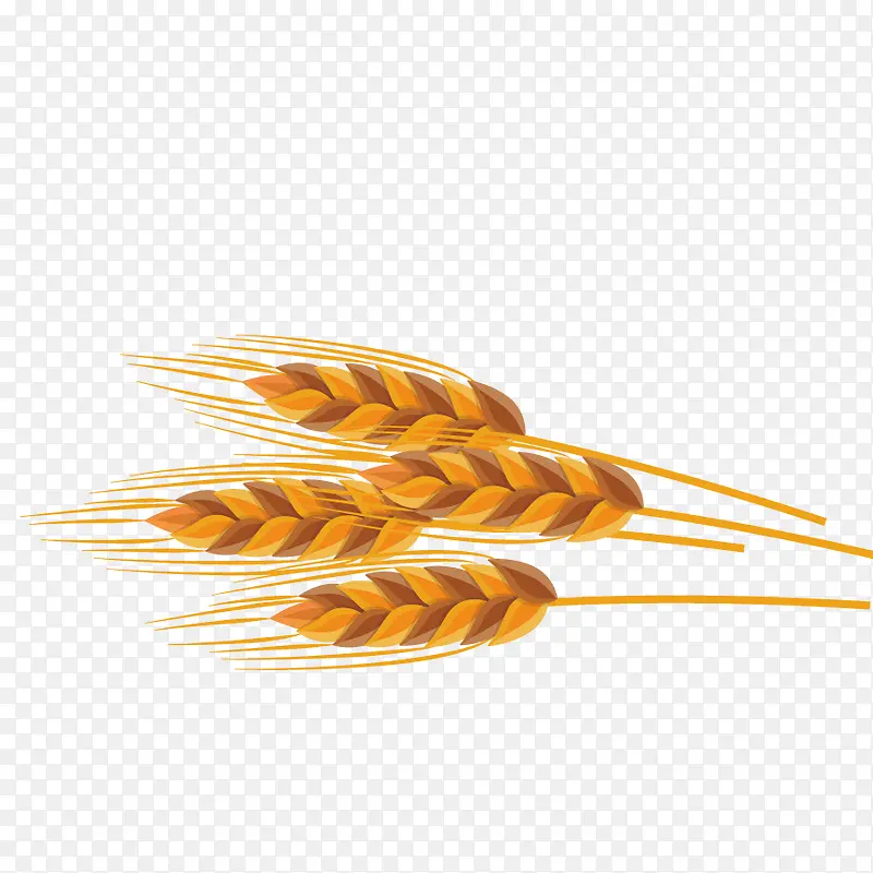 矢量模型小麦