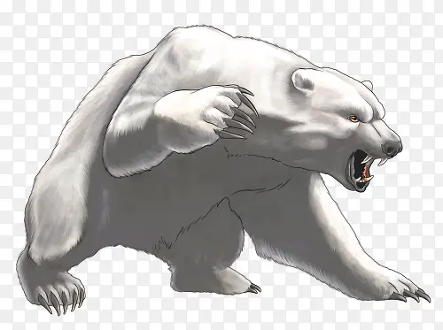 凶猛的北极熊