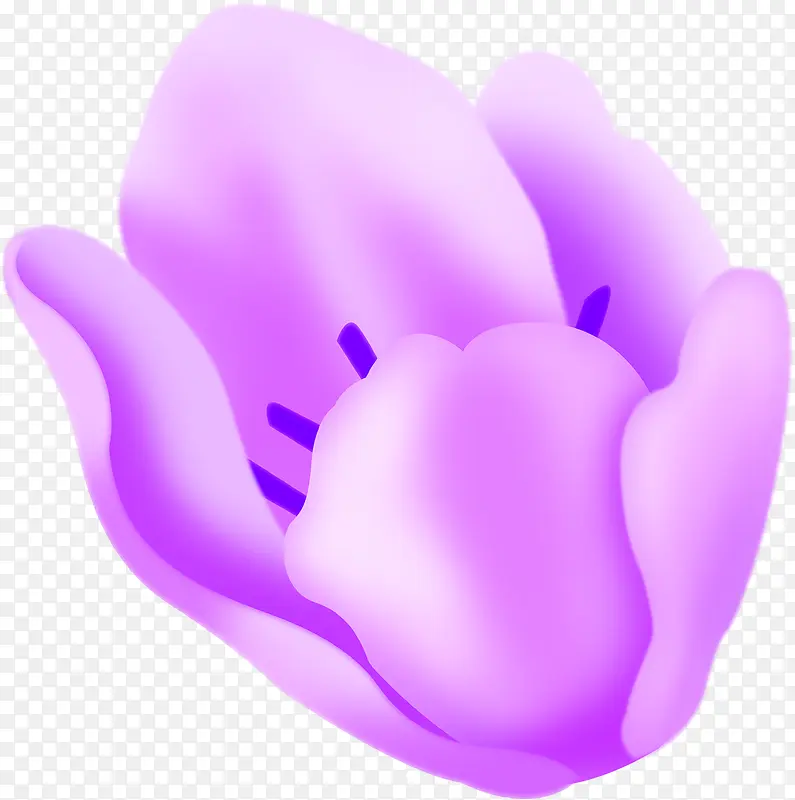 紫色唯美手绘花朵绣花