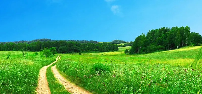 蓝天白云草地背景