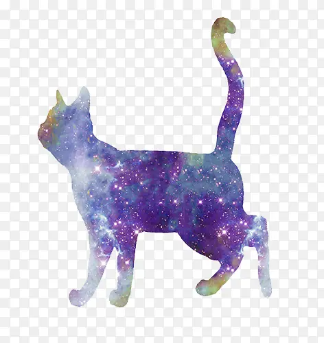 星光艺术猫形图案